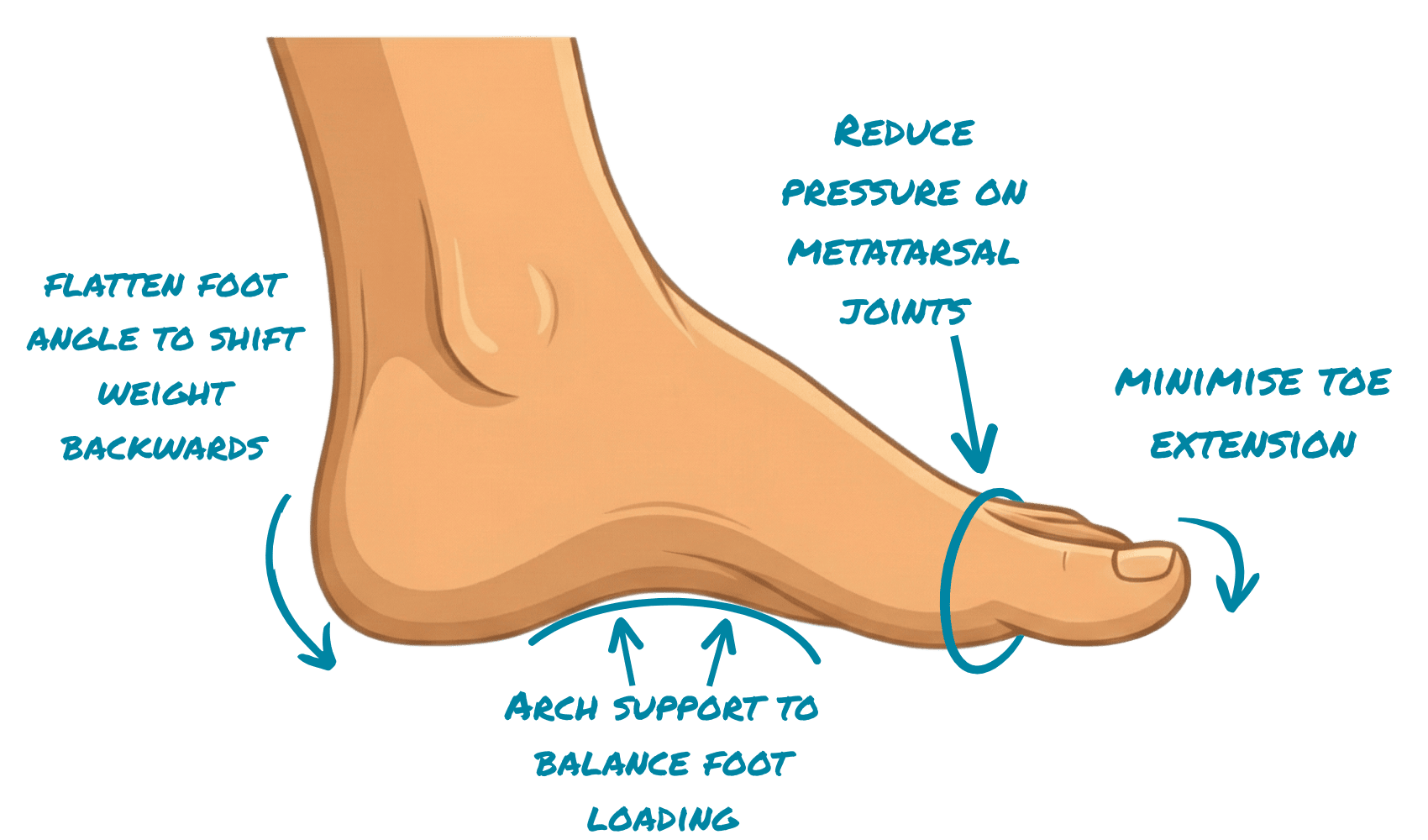 Support and structure to offload pressure from the ball of the foot